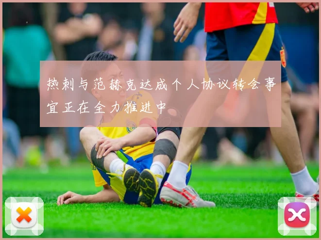 热刺与范赫克达成个人协议转会事宜正在全力推进中