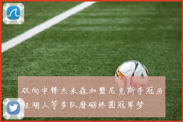 双向中锋杰米森加盟尼克斯夺冠历经湖人等多队磨砺终圆冠军梦